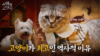 고양이 이야기 한번 들어볼래? ㅣ사랑방 고양이 1부 (SUB)