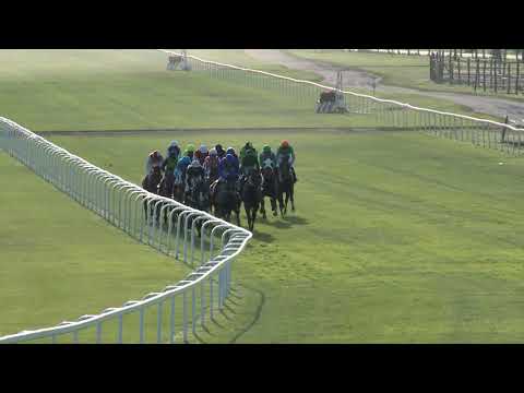 2019.06.30. 11. futam - 97. MAGYAR DERBY (HUN Gd-1) (NGL-IV.)