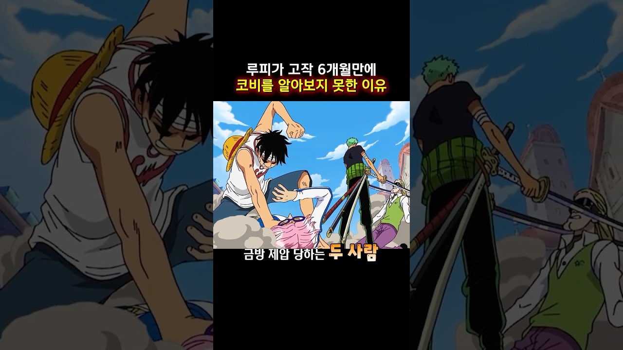 루피가 고작 6개월만에 만난 코비를 알아보지 못한 이유 #onepiece #원피스