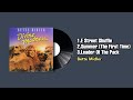 E Street Shuffle/Summer (The First Time)/Leader Of The Pack - Bette Midler (1980)