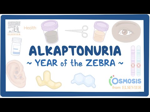 Achalasia Year of the Zebra