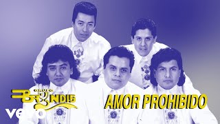 Grupo Bryndis - Amor Prohibido (Visualizer)