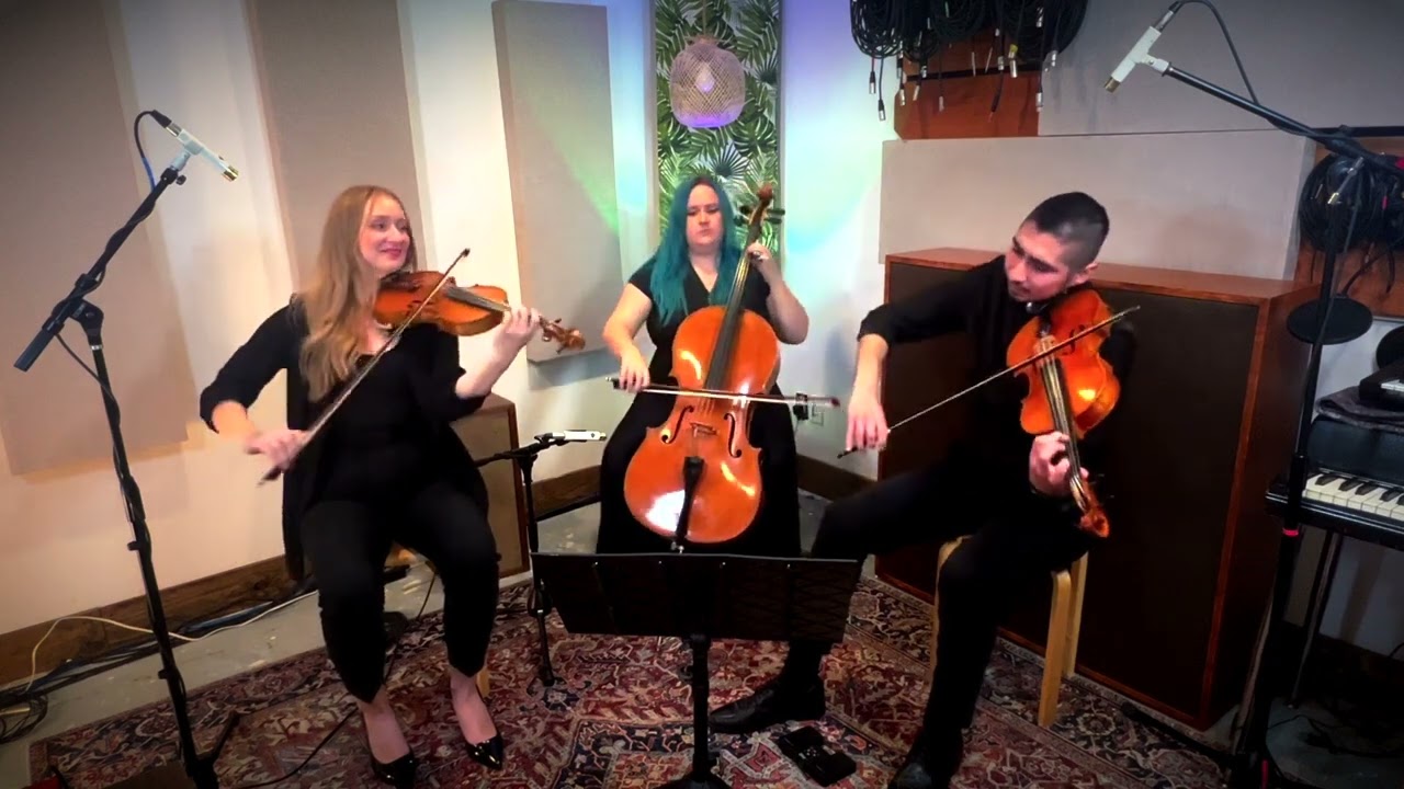 Ocdamia Music Group Live Entertainment Performance