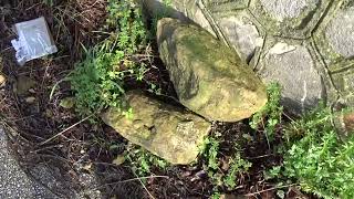 preoccupa-il-costone-di-via-loreto-ad-ariano