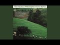 Fantasia on a Theme by Thomas Tallis - Largo sostenuto