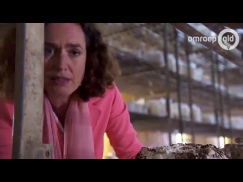 Aflevering 5 Gemaakt in Gelderland (2 mei 2016)
