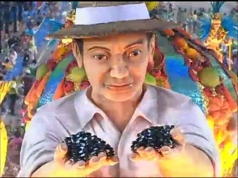 Vila Isabel é a grande campeã do Carnaval 2013 do Rio de Janeiro