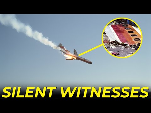 They Watched It Happen And Said NOTHING! | The Tragedy of PSA Flight 182