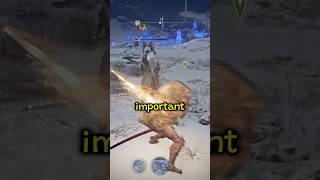 An Important Limitation to The Executor's Deflect in Nightreign