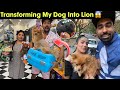 Converting My Dog Into Lion 🤣 - 1 Lakh Ki Summer Shopping 😵‍💫😱