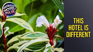 Valle Vista Luxury Apartments - This Hotel Is Different | Cairns, Australia🌟