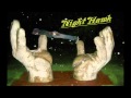 Night Hawk song (common nighthawk)
