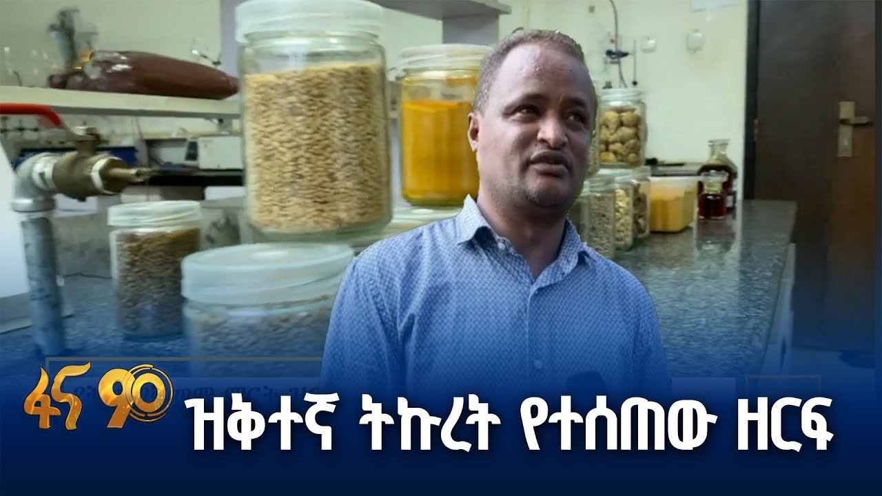 ለአርሶ አደሩ የተሰራጩ የተሻሻሉ ዝርያዎች