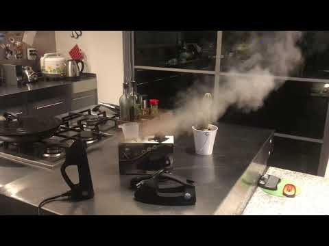 Xsteam Plancha Vertical Viaje