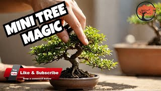 Bonsai Pruning: The Art of Miniature Trees