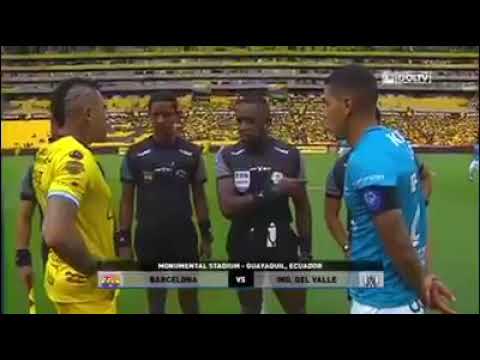 Bsc 4 Ind.Valle 1 Resumen