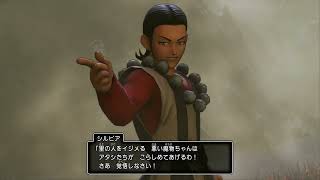 ドラクエ11 すこしだけ 10