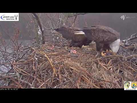 The Trio Eagles - Another nasty evening - 04-18-18