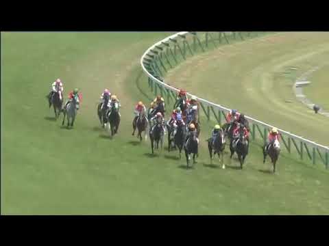 2018.06.03 2yo Newcomer (JPN) - Akanesasu