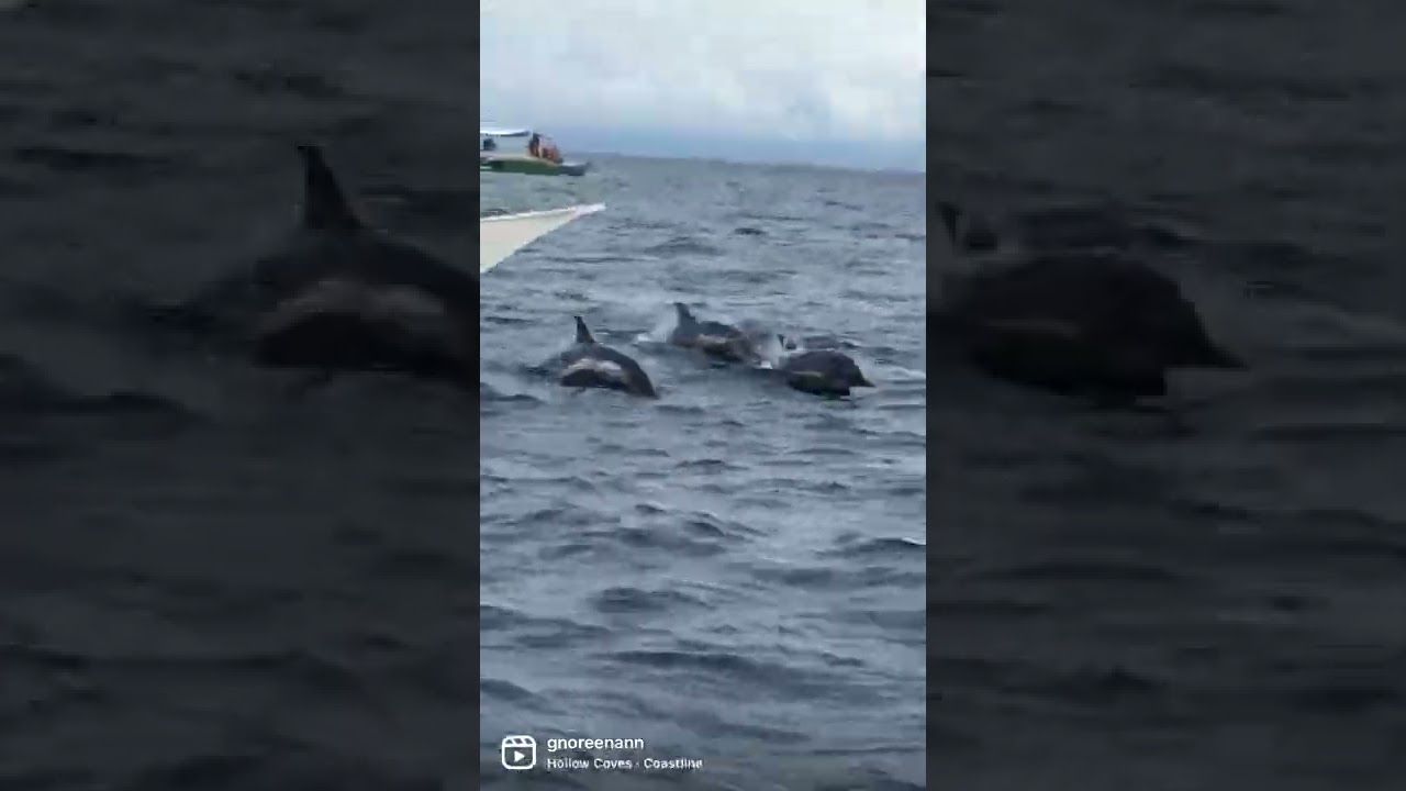 YouTube Short thumbnail