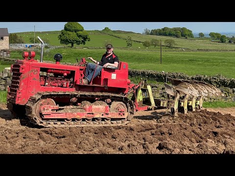 International TD8 crawler tractor ploughing @tedsshed2185