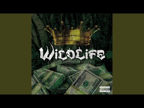 Running My Bandz Up!