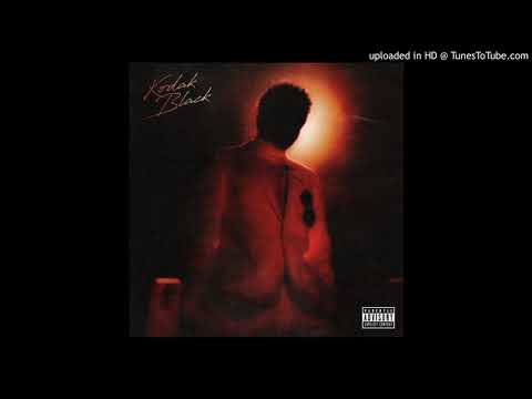 Kodak Black x Roddy Ricch x 147 Calboy Type Beat "Sustain"