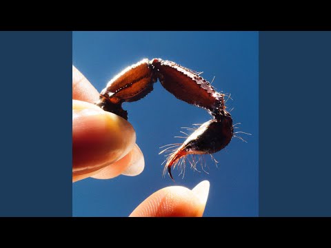 Download Squid - Fieldworks II MP3