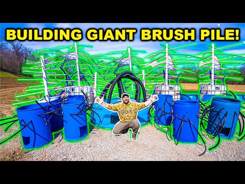 Building the WORLD’S LARGEST DIY Brush Pile for the BACKYARD Pond!!!