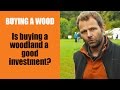 Buying a Wood: Is buying a woodland a good investment?