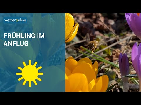 Frühling im Anflug (20.02.2021)