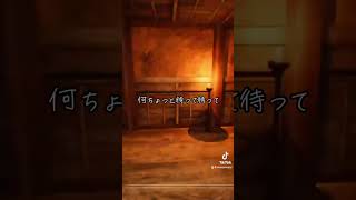 とんでもねぇゲームを紹介されちまったぜ、、 #影牢  #shadowcorridor  #ゲーム実況