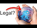 I Got A Pet Jellyfish Yes Really