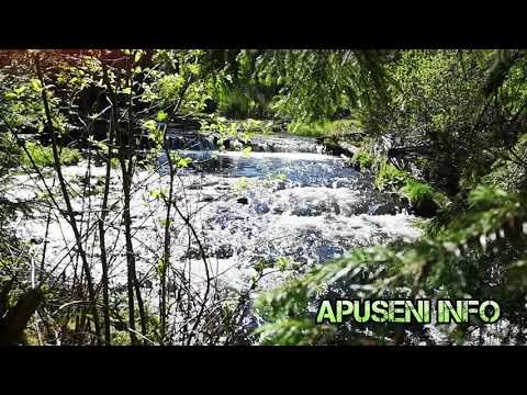 Râul Someșul Rece în Măguri Răcătău (Someșul Rece River in Măguri Răcătău)