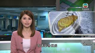 [問卦] 這次救災是不是沒什麼人關注？