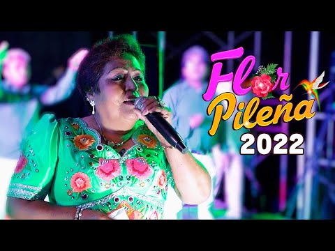 Mix Flor Pileña 2022 -  El Solitario - Me da Miedo Quererte - Vuelve a tu Casa - Mi Primer Beso