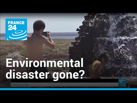 Video: Dried-up Aral Sea springs back to life