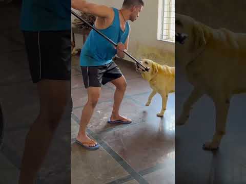 Jake Is My Super Hero #ytshorts #shorts #trends #hashtags #MyBloopers