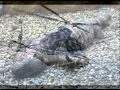 Revolting Cocks - Gila Copter