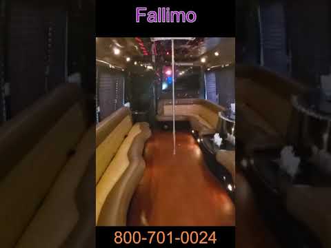 Fallimo video.