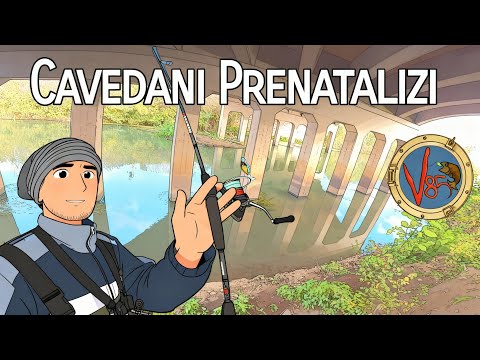 Spinning al cavedano: ricerca di dicembre 2025 Prima sessione.