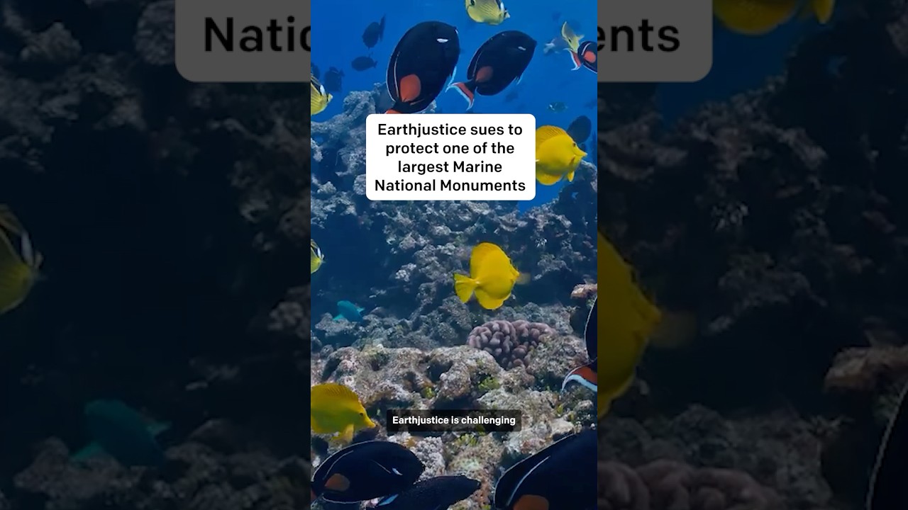 Earthjustice Sues to Protect Pacific Islands Heritage Marine National Monument