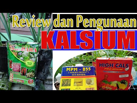, title : 'Review PUPUK Kalsium dan Cara Penggunaanya, Cegah Rontok dan Jamur'