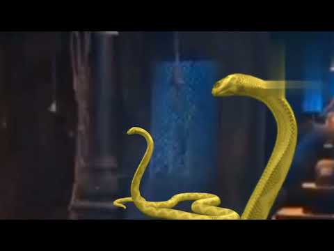 nagin 6 mayuri fight pratha and prathna #nagin 6