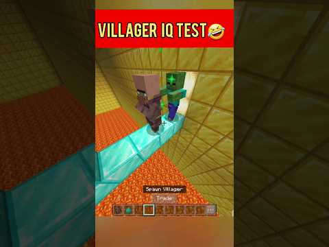 Unbelievable Villager IQ Test Result! 😱 #Minecraft