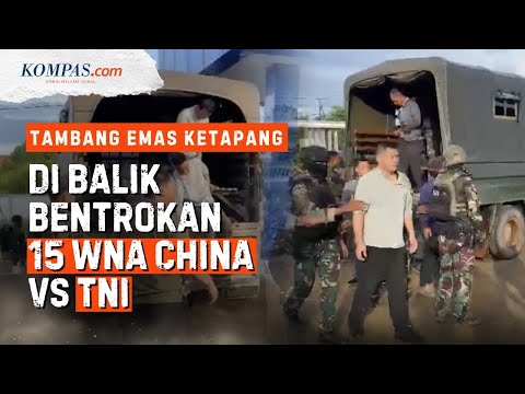 Duduk Perkara 15 WNA China Vs Prajurit TNI Bentrok di Tambang Emas Ketapang