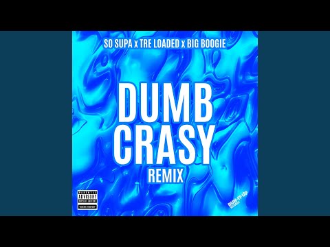 Dumb Crasy (Remix)