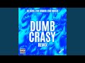 Dumb Crasy Remix