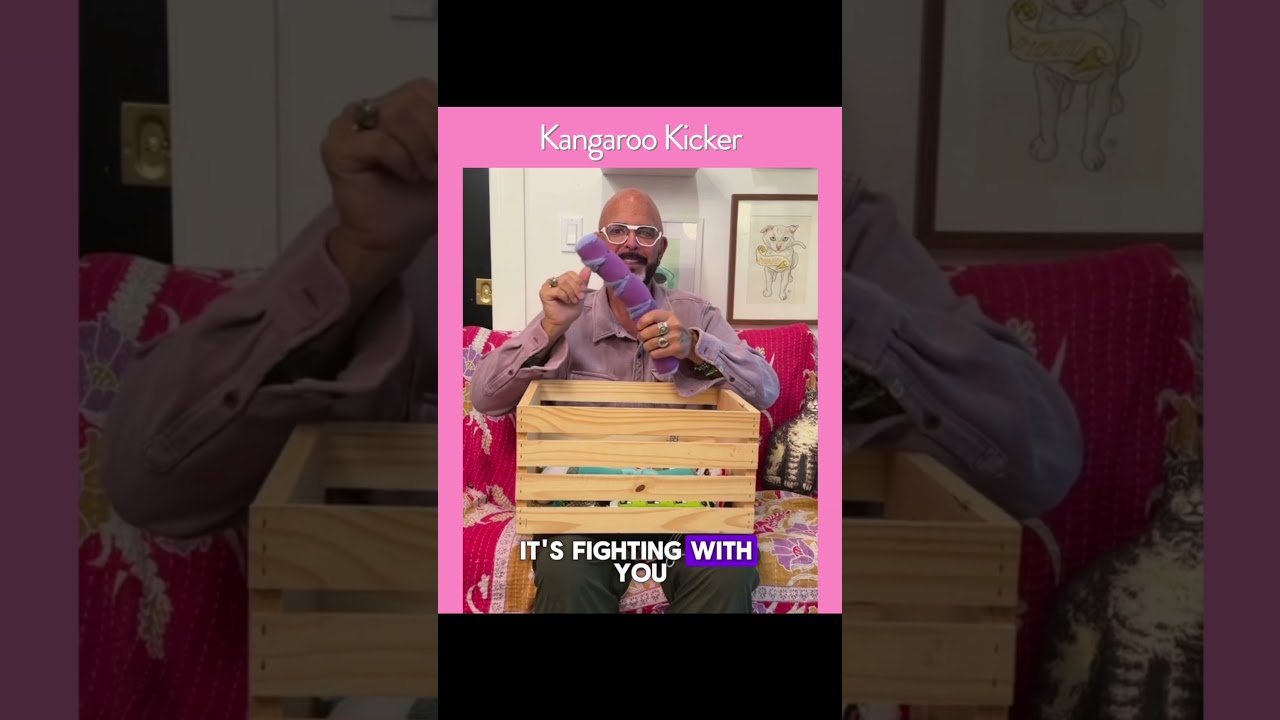 Video thumbnail for What's in my Toy Box?