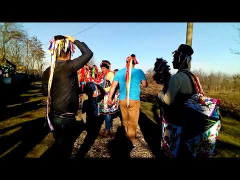 Capra Negritesti 2017-2018